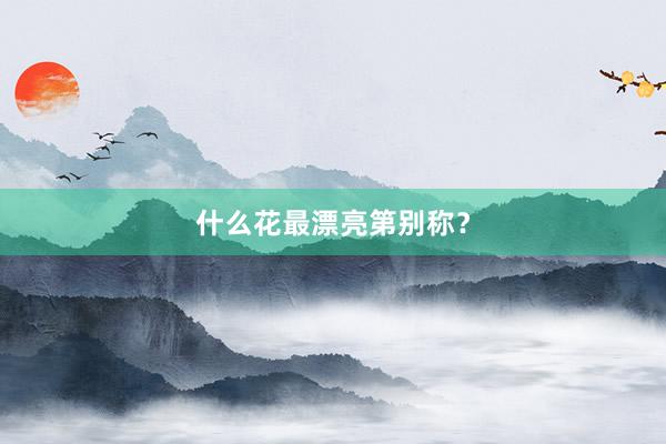 什么花最漂亮第别称？